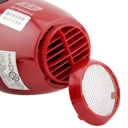 Secador De Pelo Premium 2000 W